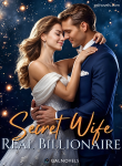 Secret wife, real billionaire.