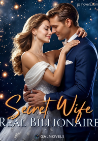 Secret wife, real billionaire.