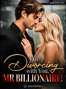 I’m Divorcing with You, Mr Billionaire!