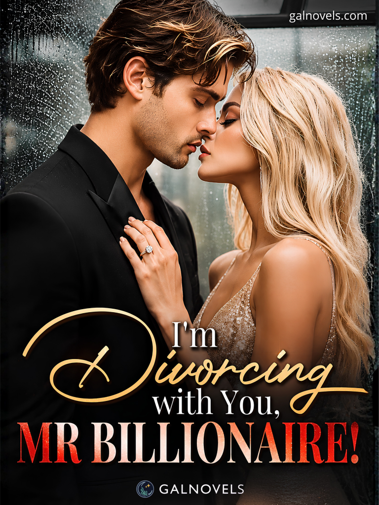 I’m Divorcing with You, Mr Billionaire!